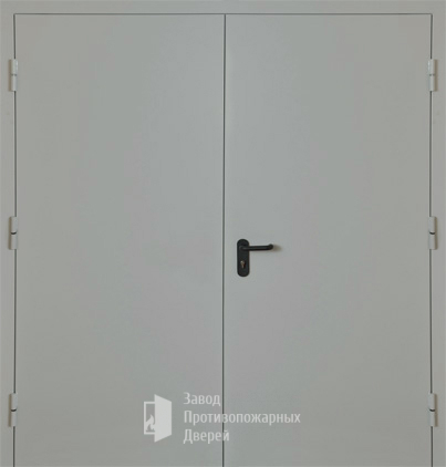 Фото двери «Двупольная глухая EI-30» в Черноголовке