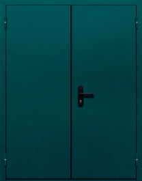 Фото двери «Двупольная глухая №36» в Черноголовке