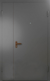 Фото двери «Техническая дверь №6 полуторная» в Черноголовке